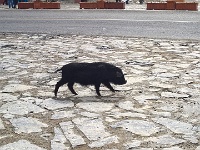 0328ChinaTibet