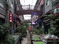 0433ChinaTibet