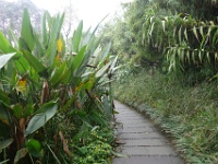 DSC00942